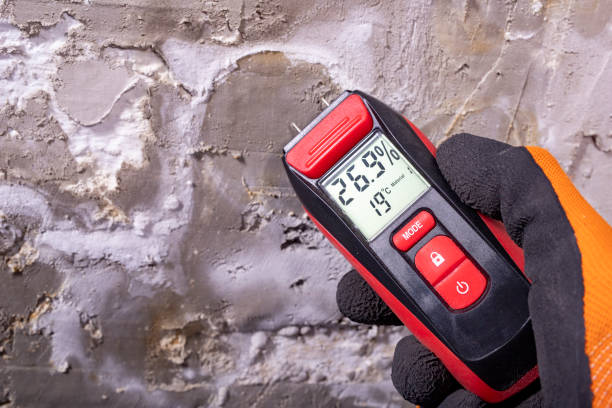 Best Mold Remediation  in Easton, PA