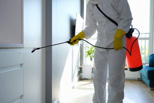 Best Residential Mold Removal  in Easton, PA