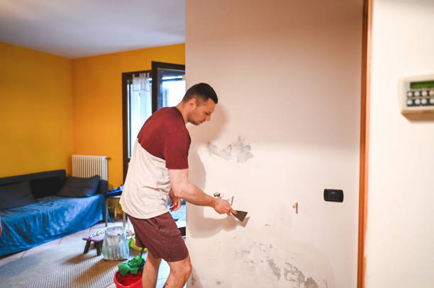 Best Affordable Mold Removal  in Easton, PA